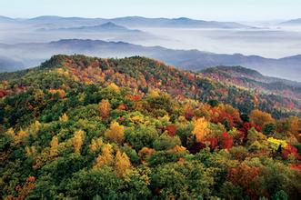 五营国家森林公园绿野仙居----波澜起伏五花山